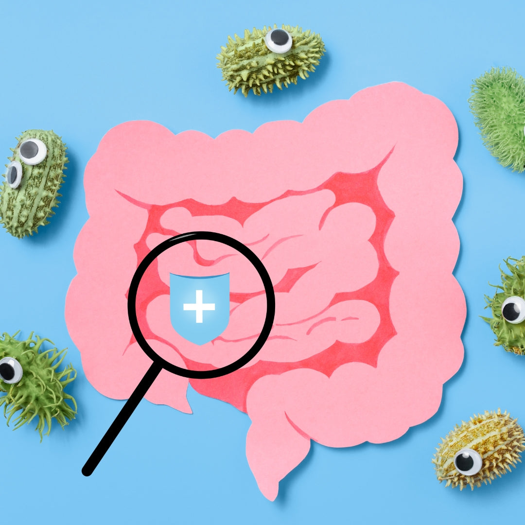 Le Secret d'un Bien-être Intestinal et d'une Immunité Renforcée !