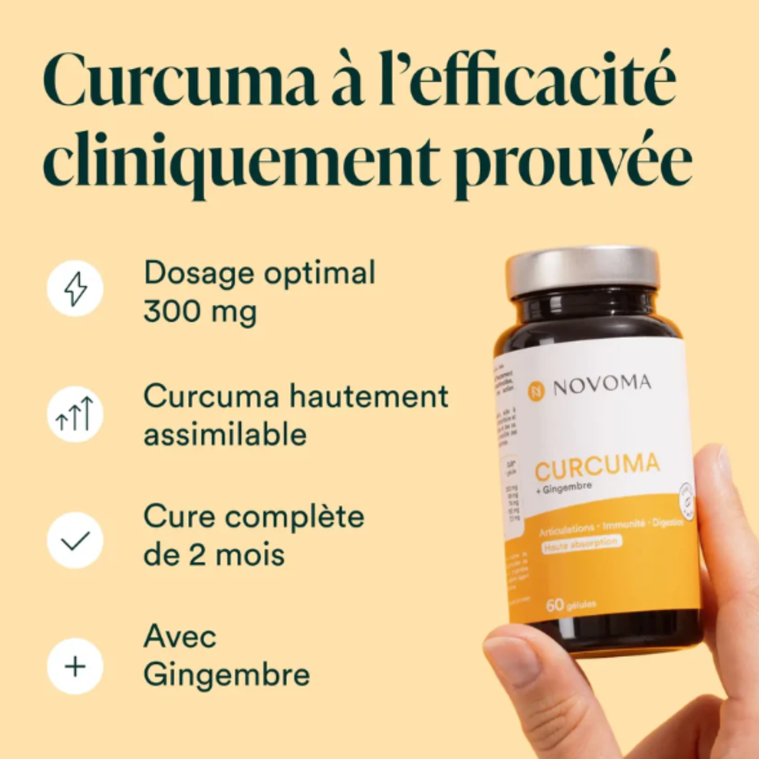 Curcuma