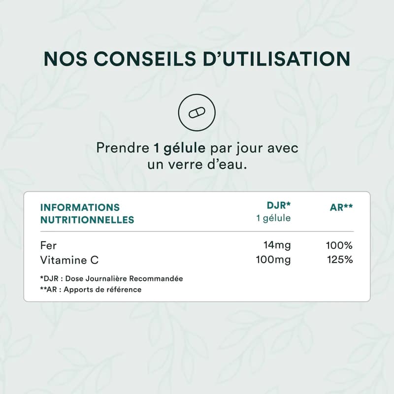 Supplément De Bisglycinate De Fer | Fer Bisglycinate | Wellvita