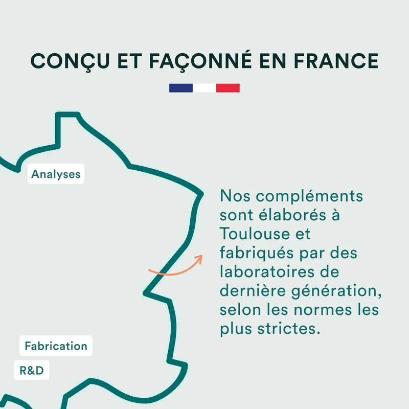 Acide Folique