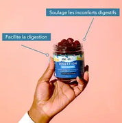 Meilleure Gummies Digestion | Gummies Digestion | Wellvita
