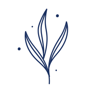 Wellvita logo